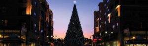 Branson Landing Christmas Tree